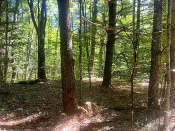 Property at Lot 6 Otter Road, Williamstown, NY 13493