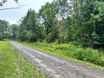 Property at 1.8 Brigham Rd, Richford, NY 13835