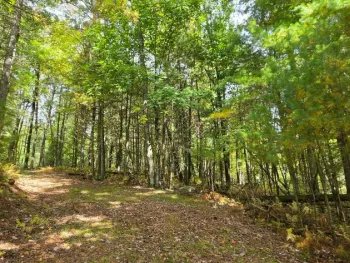 Property at Lot 6.17 State Rt.97, Narrowsburg, NY 12764