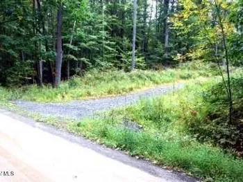 Property at L30.4 Old Gale Hill Road, New Lebanon, NY 12060