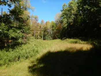 Property at 384 Phillips Road, Windsor, NY 13865