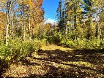 Property at 1.2 Higby Road, West Turin, NY 13325