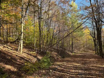 Property at 0 Boody Hill Rd, Steuben, NY 13438