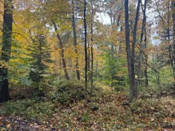 Property at 1447 N Osceola Rd, Redfield, NY 13437