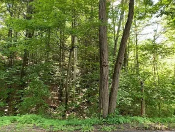Property at L11.12 Alcove Road, Coeymans, NY 12046