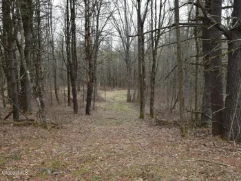 Property at L4.11 Westfall Road, Wright, NY 12053