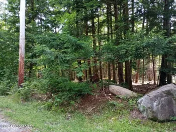 Property at L59 Antler Lake Road, Johnsburg, NY 12886