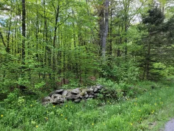Property at L14 Blenheim Hill Road, Blenheim, NY 12131