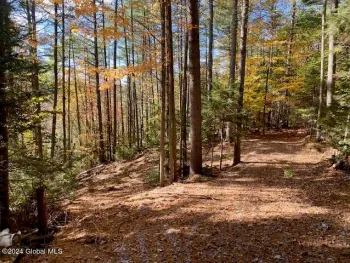Property at 35 Mountain Path, Johnsburg, NY 12853