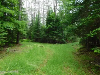 Property at L11 Pumpkin Hollow Road, Horicon, NY 12815