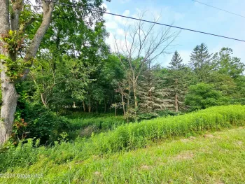 Property at L23 State Route 145, Broome, NY 12122
