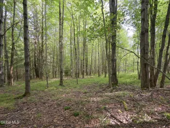 Property at L3.21 Otte Road, Fulton, NY 12194