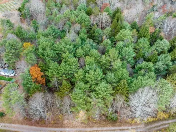 Property at 206 Manor Creek Road, Conesville, NY 12076