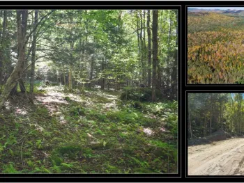 Property at 77 Carriage Knoll Road, Chester, NY 12817
