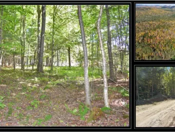 Property at 86 Carriage Knoll Road, Chester, NY 12817