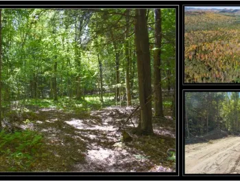 Property at 98 Carriage Knoll Road, Chester, NY 12817