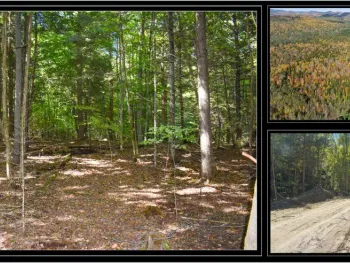 Property at 112 Carriage Knoll Road, Chester, NY 12817