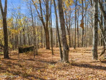 Property at L3.9 McMurdy Hill Road, Kortright, NY 13842