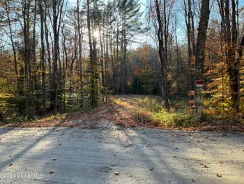 Property at 46 Woodridge Road, Horicon, NY 12815