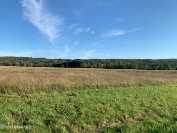 Property at L37 NY 30, Duanesburg, NY 12066