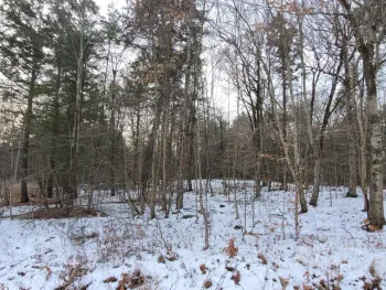 Property at 18 High Acres Lane, Greenville, NY 12083