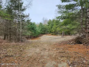 Property at L26.7 Pine Hill Road, Hebron, NY 12865