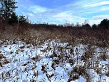 Property at L5.1 State Highway 162, Charleston, NY 12066
