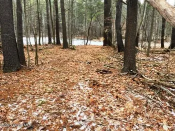 Property at L4 State Route 146, Wright, NY 12053