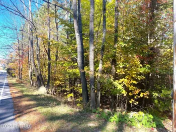 Property at L36 County Route 29, Minerva, NY 12851