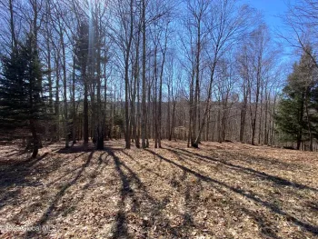 Property at L22.2 Alder Pond Road, Bovina, NY 13740