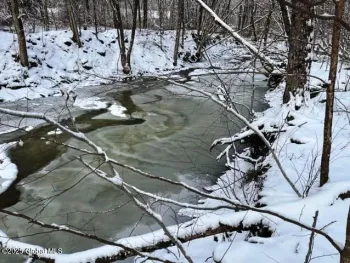 Property at L16.5 State Route 220, Smithville, NY 13778