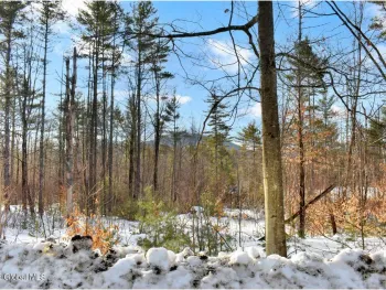 Property at L91 Highview Lane, Johnsburg, NY 12886