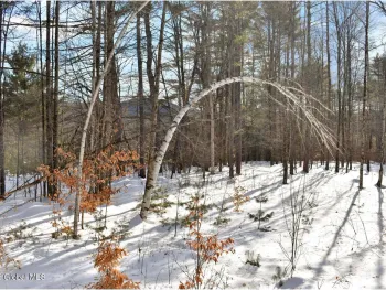 Property at L92 Highview Lane, Johnsburg, NY 12886