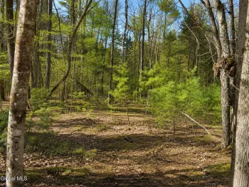 Property at L96 Highview Lane, Johnsburg, NY 12886