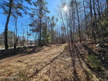 Property at L11.231 Valentine Pond Road, Horicon, NY 12860