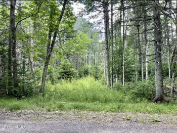 Property at L12 Balsam Drive, Indian Lake, NY 12842