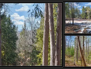 Property at L15 Mountain Meadows Road, Horicon, NY 12860