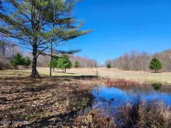 Property at L12 Blossom Road, Hebron, NY 12865