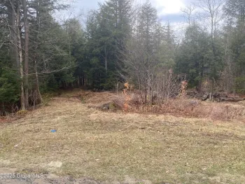 Property at L13 County Highway 137, Caroga, NY 12032