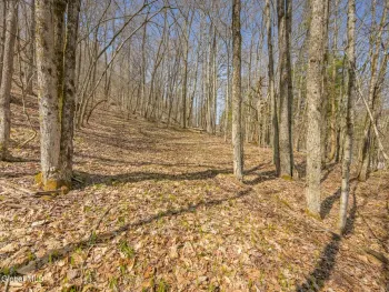 Property at L9.114 Lutheranville Road, Summit, NY 12175