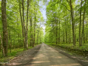 Property at L22.22 Mud Road, Laurens, NY 13796