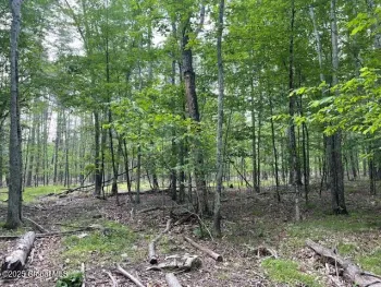 Property at 145 Frank Hitchcock Road, Cairo, NY 12413