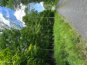 Property at L11 C Buel Road, Conesville, NY 12076