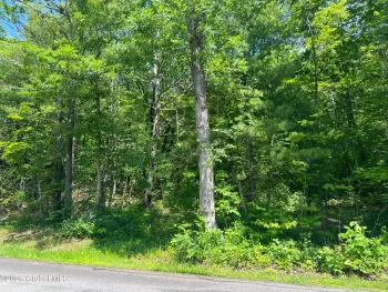 Property at L20.1 Vosenkill Road, Athens, NY 12015