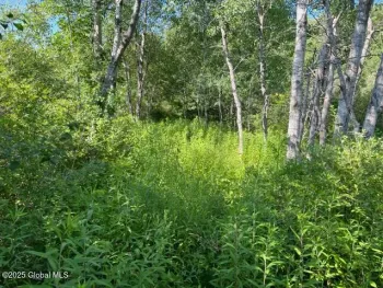 Property at L9 State Route 162, Esperance, NY 12066