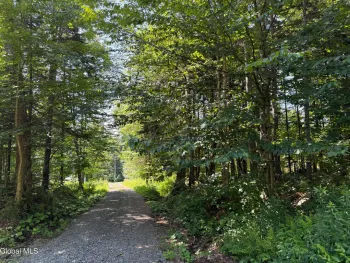 Property at 120 Jim's Hill Road, Lake Pleasant, NY 12108