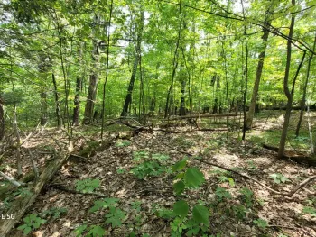 Property at 50 Finger Hill Road, Saugerties, NY 12477