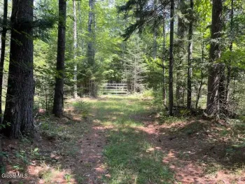 Property at L153.3 Slippery  Bank Rd, Minerva, NY 12851
