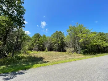 Property at L18.11 Old Kings Road, New Baltimore, NY 12087