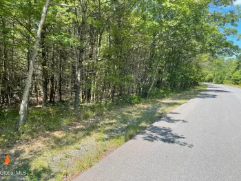 Property at L18.2 Old Kings Road, New Baltimore, NY 12087